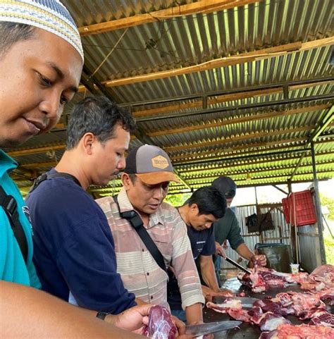 Idul Adha 1444 H YBM PLN UP3 Nabire Tebar Berkah Daging Nabire Net