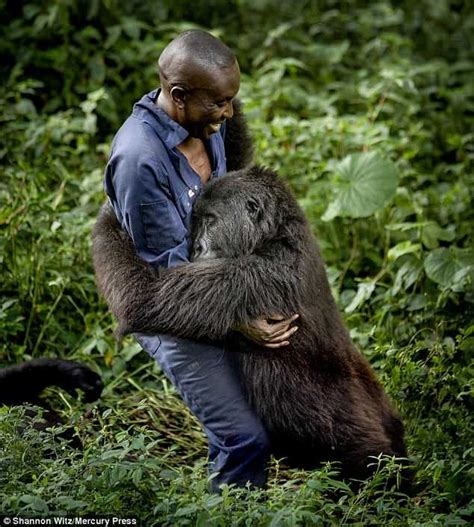 a man hugging a gorilla in the middle of some grass and bushes with ...