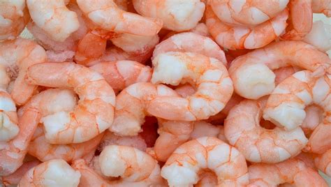 Researchers Find Vibrio Types In Prawns In United Kingdom Pose Low Risk