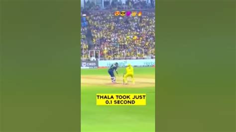 Thala Took 01 Second Stumping Cricket Youtube