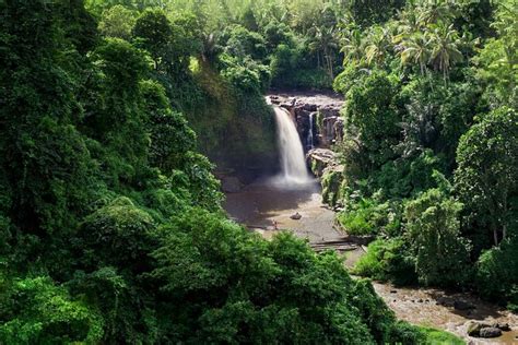 2024 Full Day Private Tour Of Bali Waterfalls Tibumana Tukad Cepung