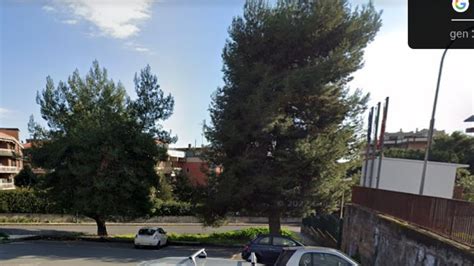 Canalicchio Donna Si Lega Ad Un Albero Per Protesta Ecco La Risposta