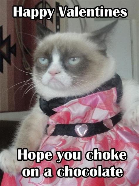 Grumpy Cat Valentine Photo Collections Just Another Blog