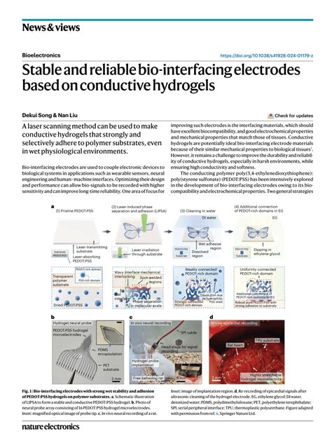 PDF Stable And Reliable Bio Interfacing Electrodes Based On