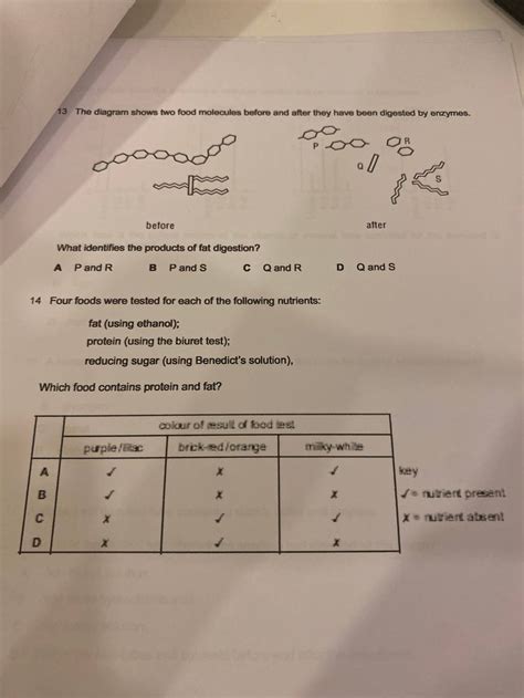 13 The diagram shows two food molecules before and after they have been d..