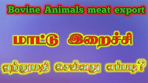 Buffalo meat export from india beef export எரம மடட இறசச