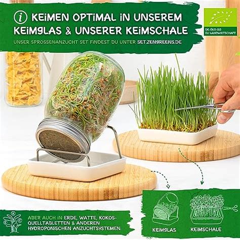 ZenGreens Bio Sprossen Samen Im 6er 10er Und 20er Set