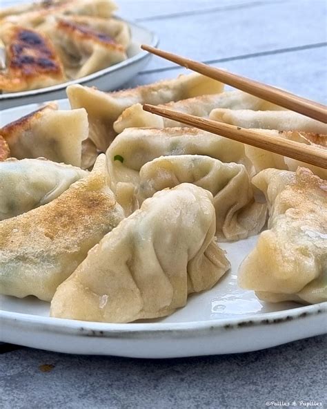 Comment Cuire Des Gyozas La Po Le Ou La Vapeur