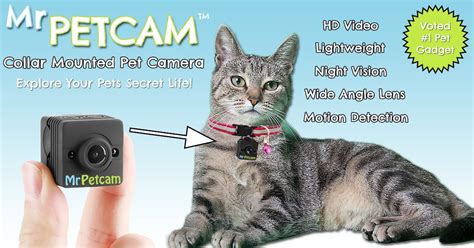 Mr Petcam HD Cat Collar Camera Collar Mounted Pet Camera - Etsy