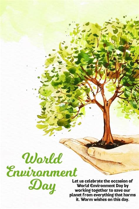 Celebrate World Environment Day!