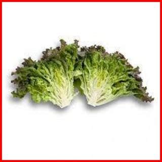 Lettuce Ruby Sky Rz Pelleted Seeds By Rijk Zwaan Repacked Pcs