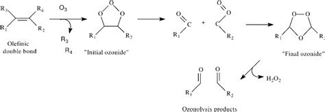 Reaction Of Ozone With Olefin Structure By Dipolar Cycloaddition