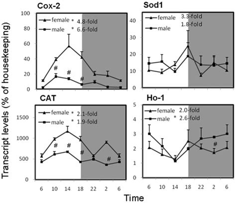 Significant Circadian Rhythm P Download Scientific Diagram