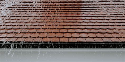 Benefits Of Soft Washing Your Roof Soft Wash Chemicals