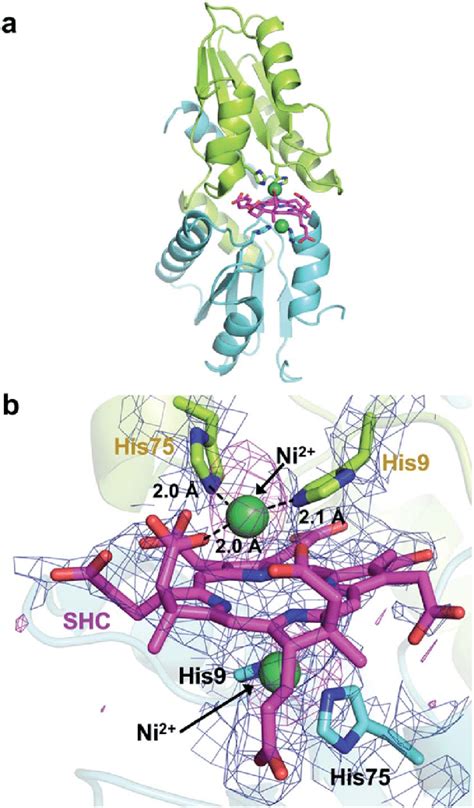 Snapshot Of A Ni Shc His Intermediate Complex A Overall