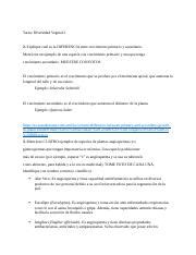 Tarea Diversidad Vegetal 2 Docx Tarea Diversidad Vegetal 2 2