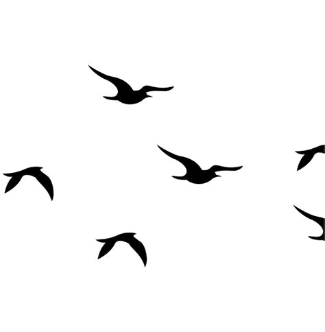 Flying Birds In Flight And Nature Illustration Free Hd Png Png All