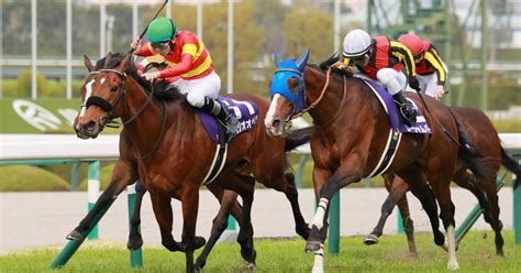 2024 3 31（日）競馬予想結果｜jra・競馬予想