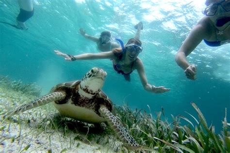 Ambergris Caye Scuba Diving Activity 2024