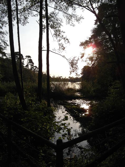 Black Park Lake | Lake, Outdoor, Park