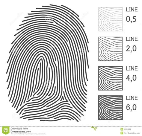 Elegant Fingerprint Vector Art