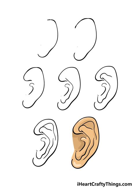 How To Draw An Ear A Step By Step Guide How To Draw Ears Drawing