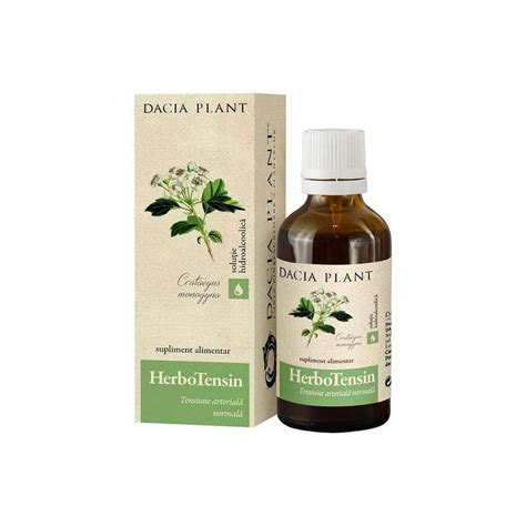 Herbotensin Tinctura 50 Ml Dacia Plant Sam Distribution