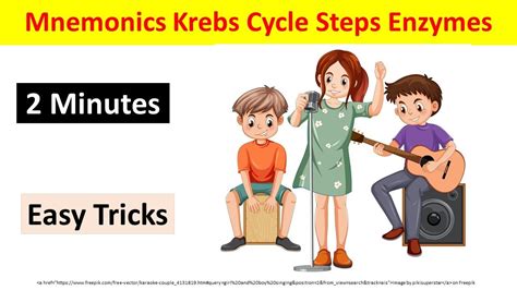 How To Remember Krebs Cycle Easily In 2 Minutes TCA Cycle Mnemonics