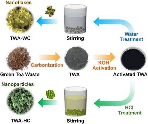 Schematic Illustration Of The Synthesis Procedures For The Twa Derived Download Scientific