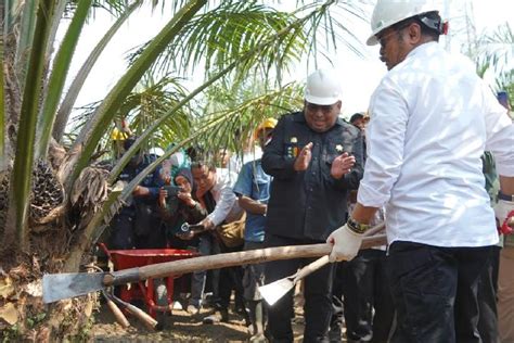 Mentan Dorong Sumsel Jadi Percontohan Sawit Nasional Mediatokotani