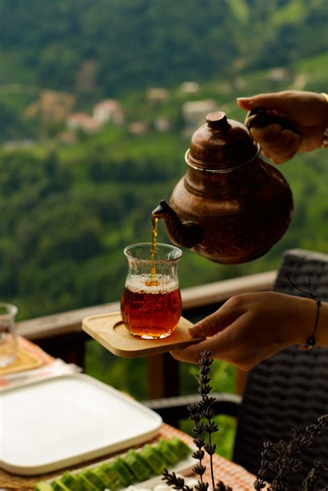 Darjeeling Tea Delight: An Exploration of Flavour and Tradition ...