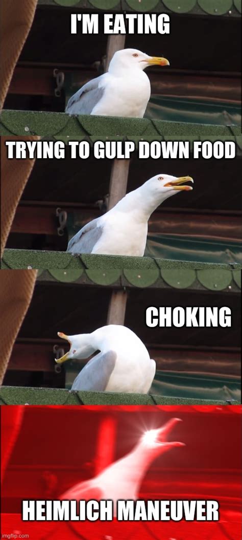 Inhaling Seagull Meme Imgflip