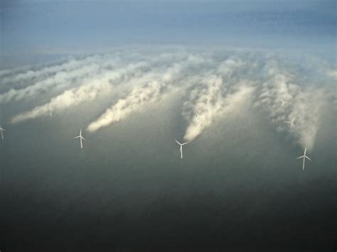 Steeds Meer Windparken Op De Noordzee Legt De Natuur Het Loodje