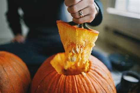 How To Choose Pumpkins To Carve Or Pumpkins For Cooking