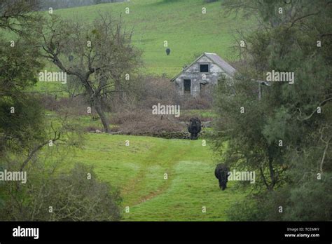 Old Cattle Homestead Stock Photo Alamy