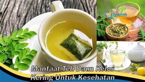 Temukan 8 Manfaat Teh Daun Kelor Kering Untuk Kesehatan Yang Bikin Kamu