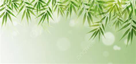 Bamboo Green Fresh Spring Background Bamboo Leaves Bamboo Green Background Image And