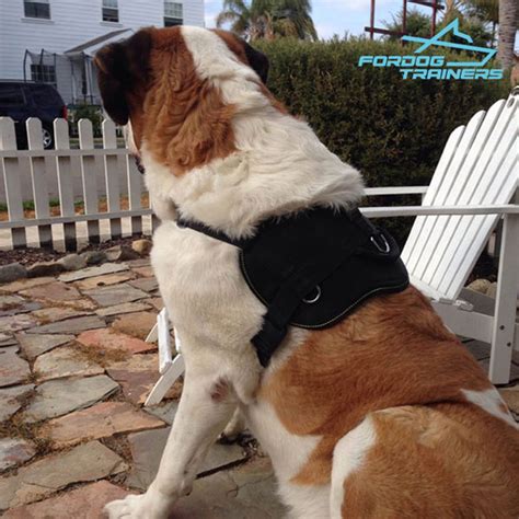 Order Dog Tracking Harness Best Training Gear For Saint Bernard