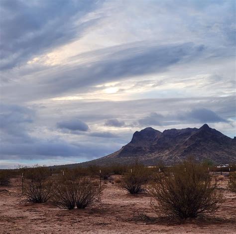 Kelli Folsom Art Life School - How would you feel about gaining more