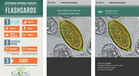 Capc Parasite Flash Card App Today S Veterinary Nurse