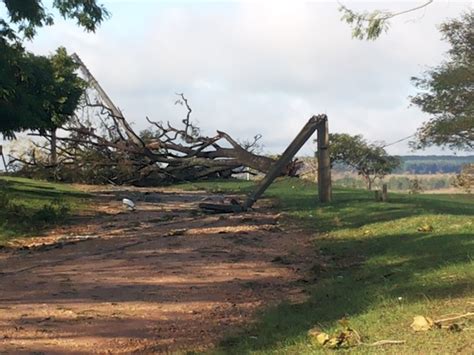 G1 Chuva Forte Causa Estragos E Derruba Várias árvores E Postes Em