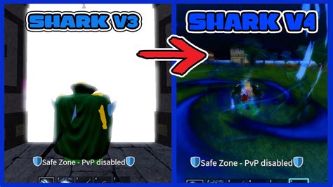 How To Get Shark Race V Race Awakening Blox Fruits Youtube