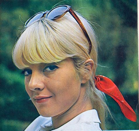 Museo Lopi Tribute To Sylvie Vartan Iskretz Bulgaria