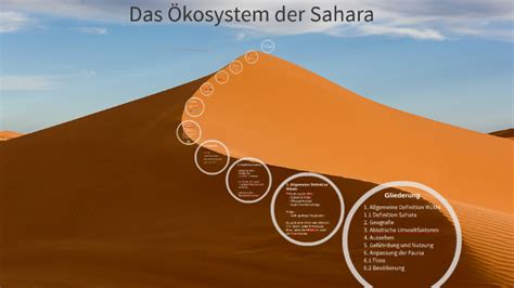 Das Ökosystem der Sahara by Namira Nemes