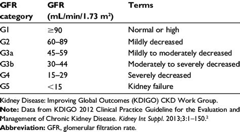 Kidney Failure Classification