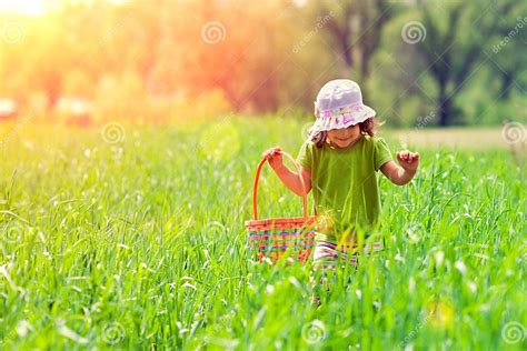 Little Girl Walking On The Green Field Stock Image Image Of Health