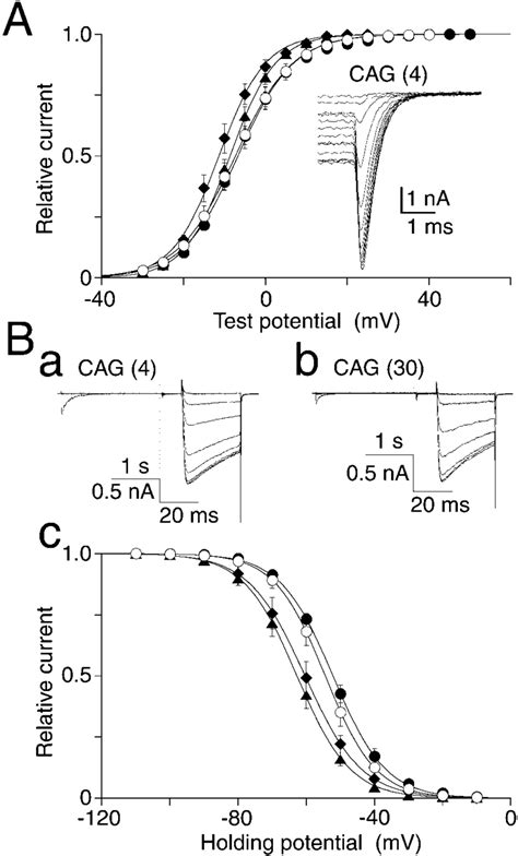 Voltage Dependence Of Activation And Inactivation A Comparison Of