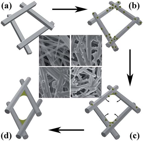 Schematic Of The Formation Of N Stc A Na 2 Ti 3 O 7 Nanobelts B Download Scientific Diagram