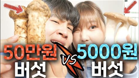 50만원짜리 송이버섯 Vs 5000원짜리 버섯 뭐가 더 맛있을까 ㅋㅋㅋㅋㅋㅋ Youtube