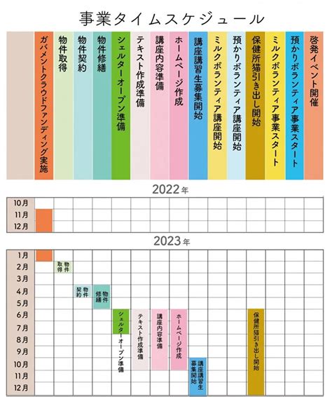 保健所に持ち込まれた猫たちを救う！ 市内に保護猫ボランティア育成施設を作り、猫を救う人材を育成し、殺処分ゼロを目指す！ ネコリパブリック